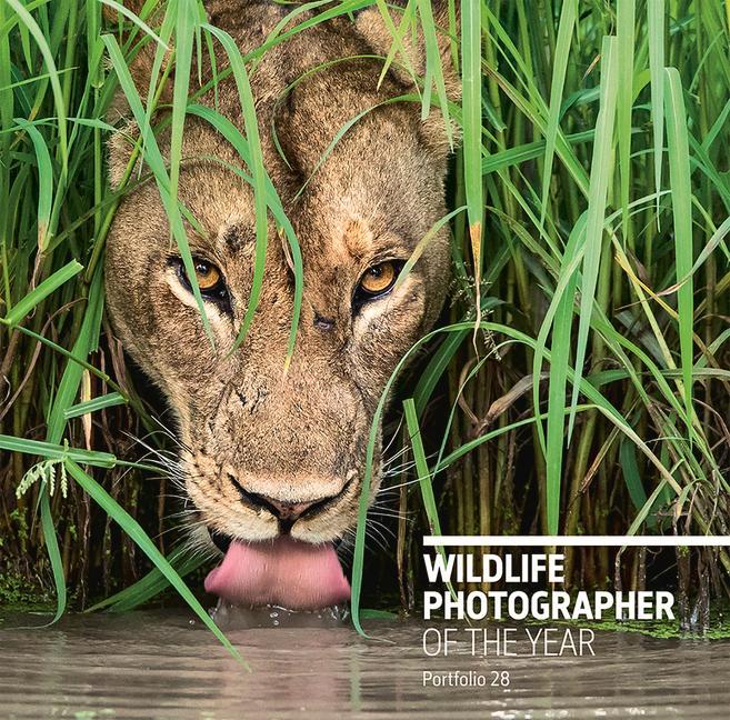Wildlife Photographer of the Year: Portfolio 28 | ROSAMUND KIDMAN COX | Buch | Wildlife Photographer of the Year | Gebunden | Englisch | 2018 | The Natural History Museum | EAN 9780565094287 - COX, ROSAMUND KIDMAN