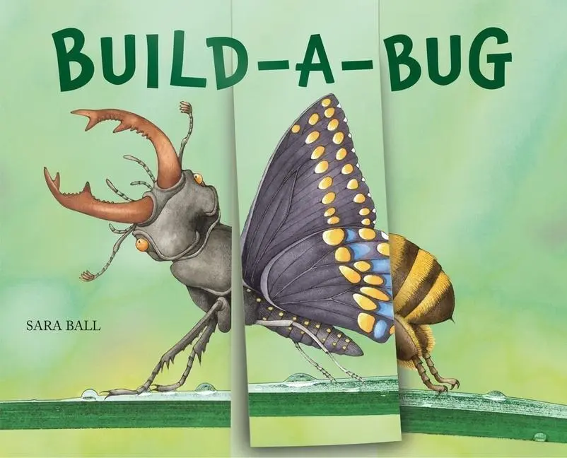 Cover: 9780789214287 | Build-A-Bug | Make Your Own Wacky Insect! | Sara Ball | Buch | 2022