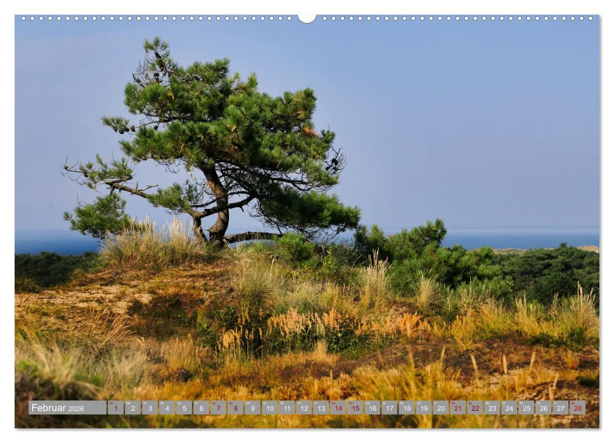 Bild: 9783457404287 | Vlieland Perle an der Nordsee (Wandkalender 2026 DIN A2 quer),...