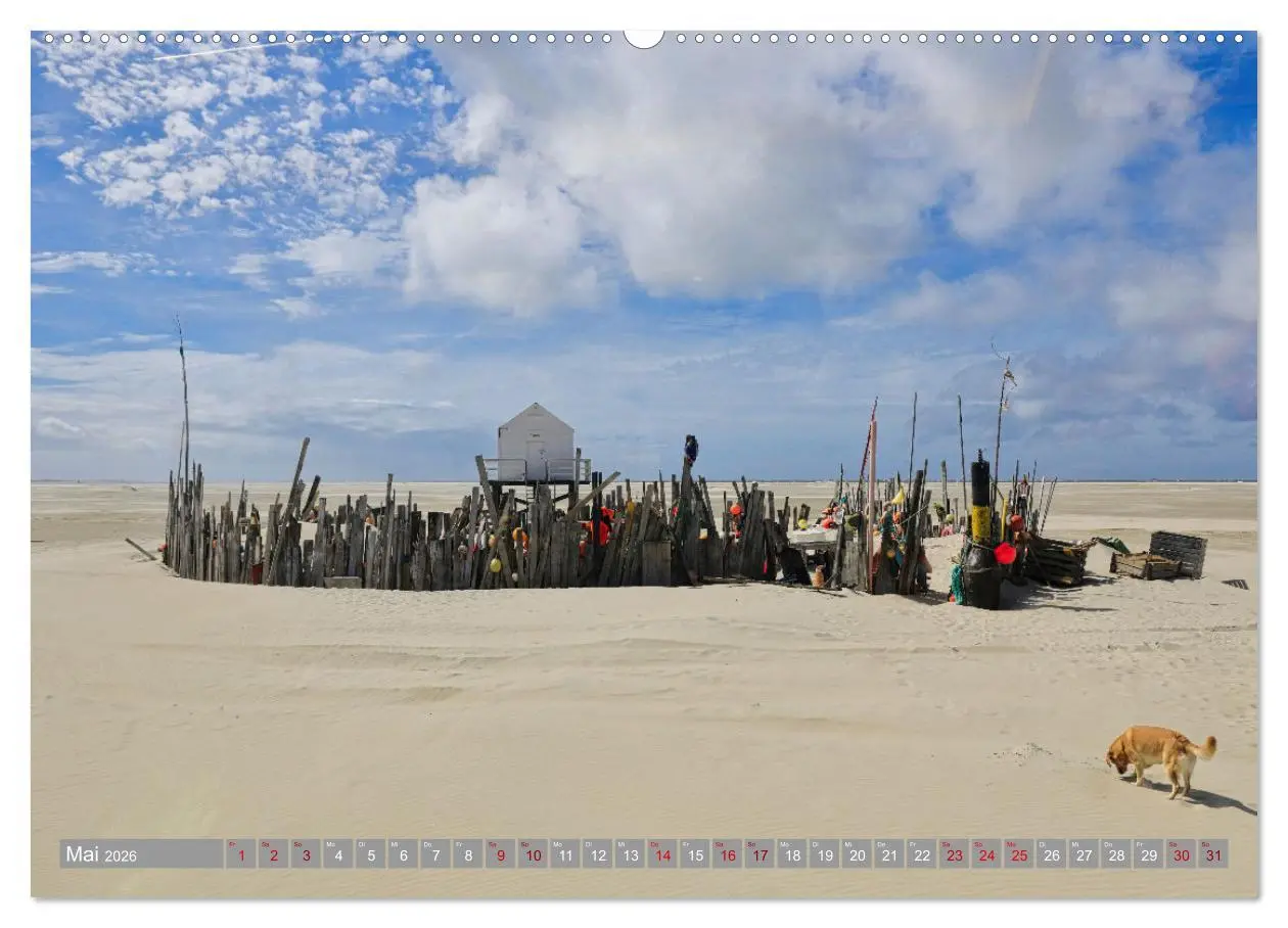 Bild: 9783457404287 | Vlieland Perle an der Nordsee (Wandkalender 2026 DIN A2 quer),...