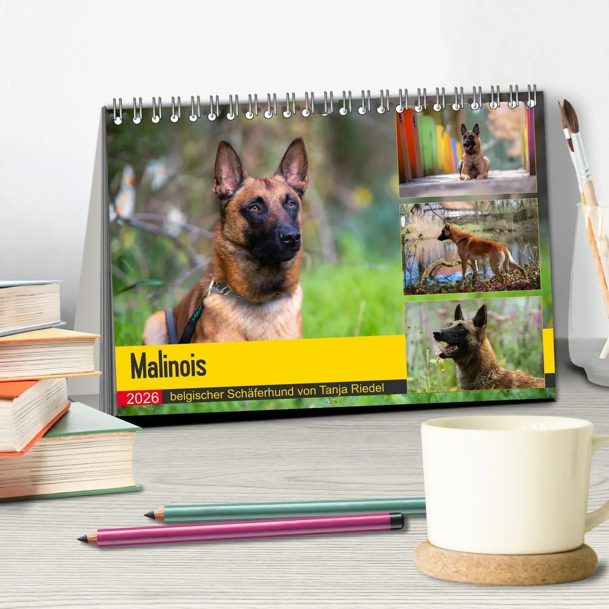 Bild: 9783457714287 | Malinois - belgischer Schäferhund (Tischkalender 2026 DIN A5 quer),...