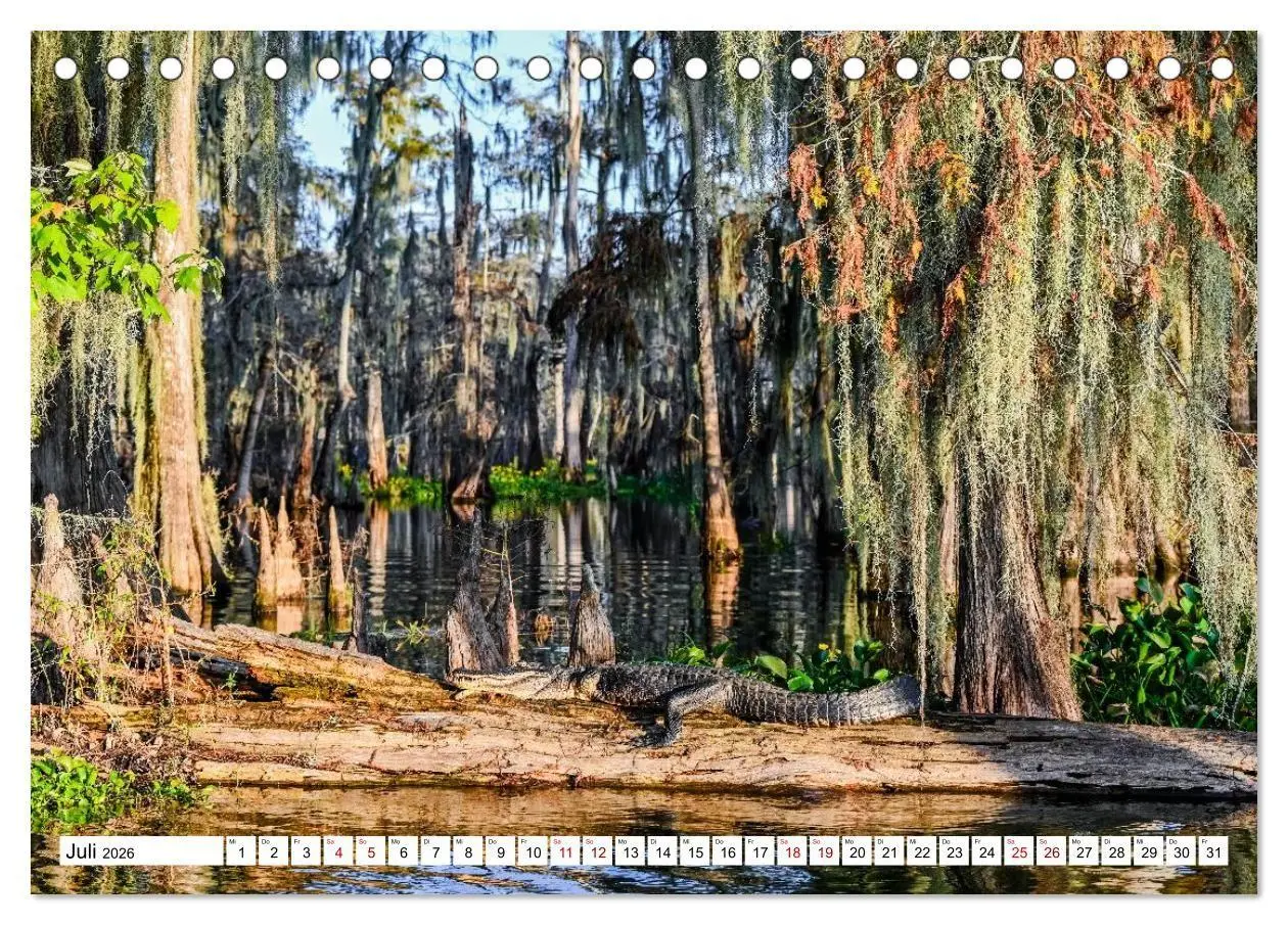 Bild: 9783516734287 | Louisiana - Sümpfe und Plantagenhäuser (Tischkalender 2026 DIN A5...
