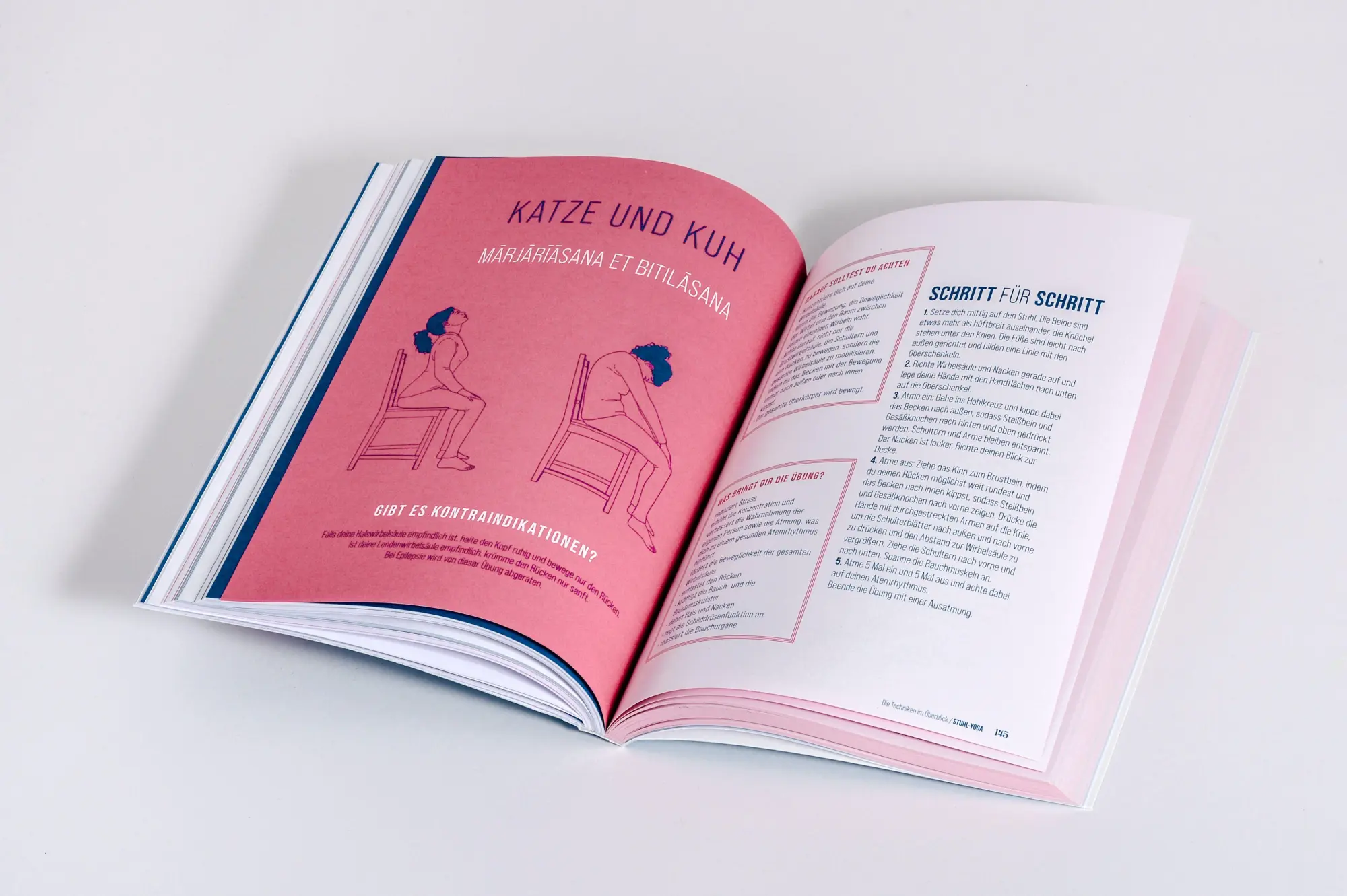 Bild: 9783517104287 | Stuhl-Yoga | Julie Banville (u. a.) | Taschenbuch | 256 S. | Deutsch