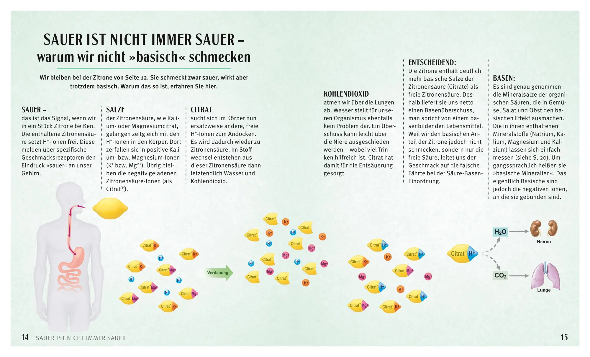 Bild: 9783833844287 | Säure-Basen-Kochbuch | Karola Wiedemann (u. a.) | Taschenbuch | 160 S.