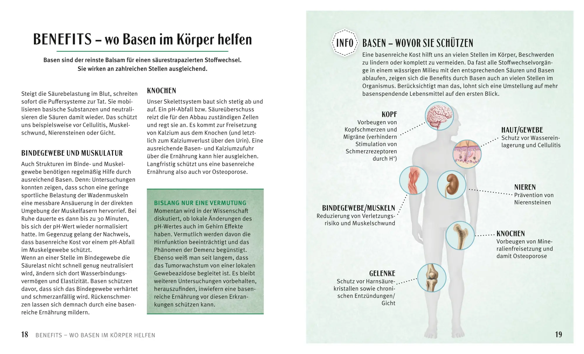 Bild: 9783833844287 | Säure-Basen-Kochbuch | Karola Wiedemann (u. a.) | Taschenbuch | 160 S.