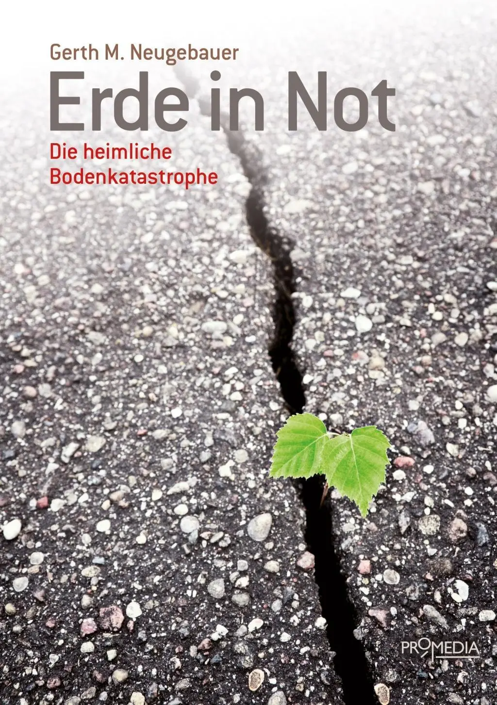 Cover: 9783853714287 | Erde in Not | Die heimliche Bodenkatastrophe | Gerth M Neugebauer