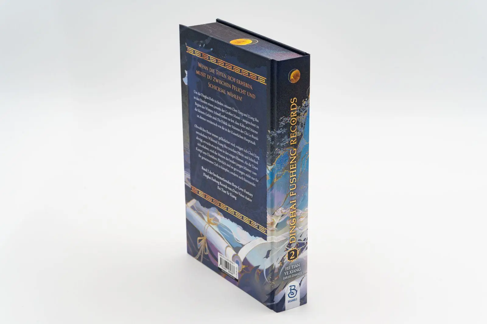 Bild: 9783426564387 | Dinghai Fusheng Records. Buch 2 | Fei Tian Ye Xiang | Buch | 400 S.