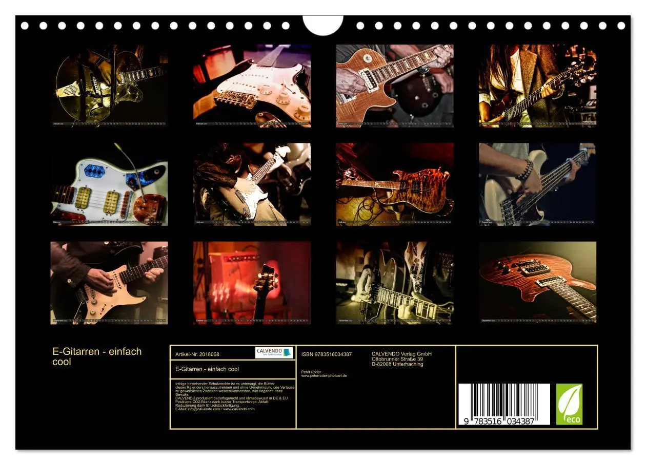 Bild: 9783516034387 | E-Gitarren - einfach cool (Wandkalender 2026 DIN A4 quer), CALVENDO...