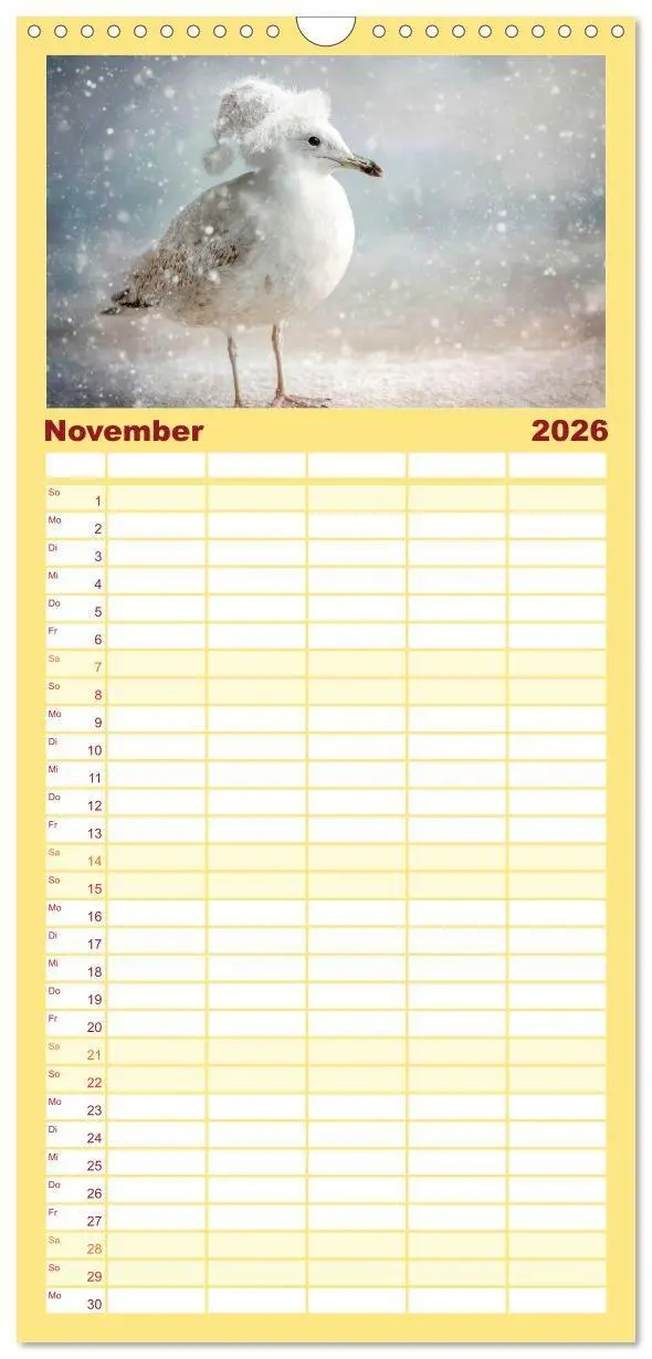 Bild: 9783516724387 | Familienplaner 2026 - Möwen on Tour mit 5 Spalten (Wandkalender, 21...