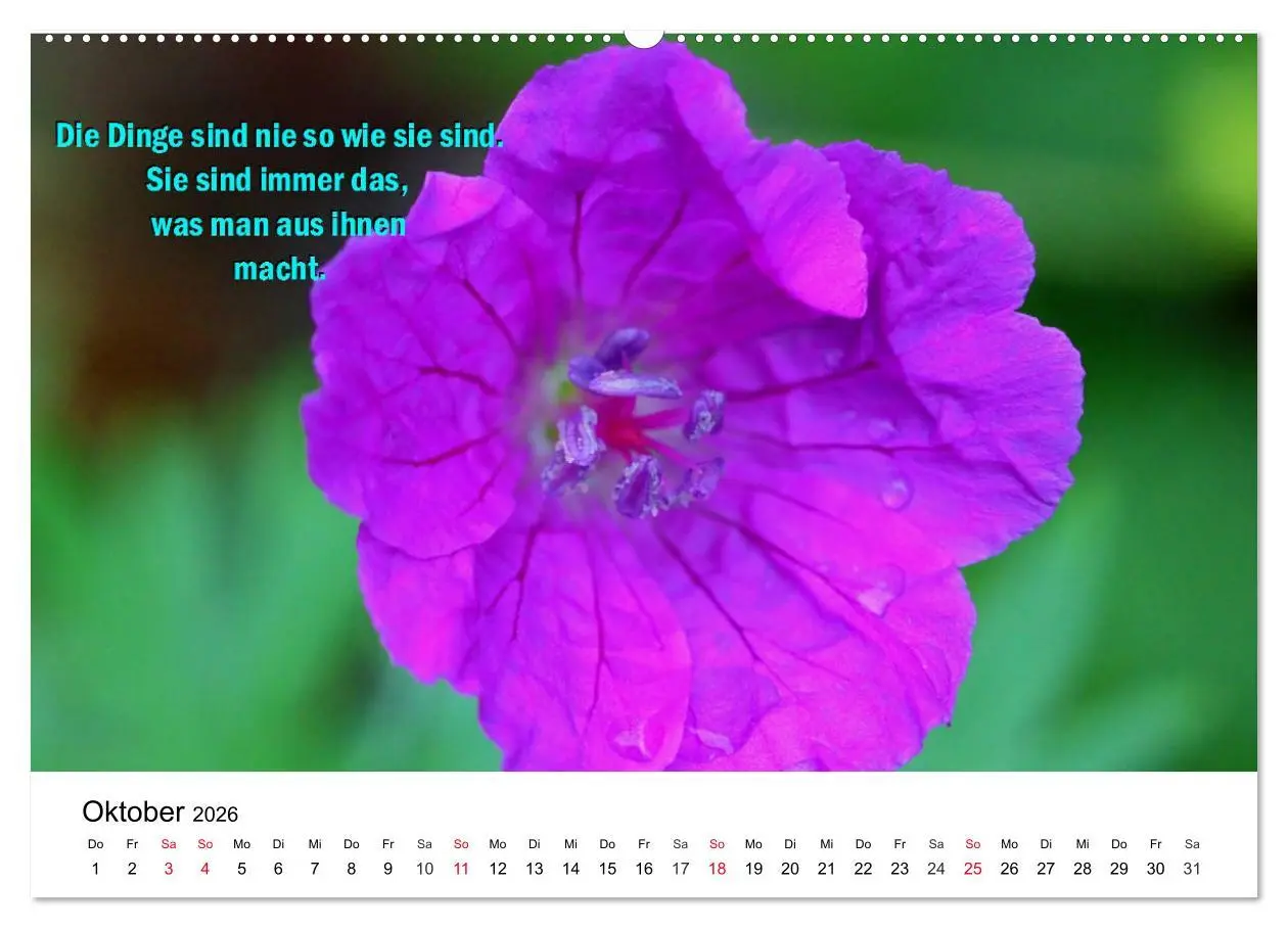 Bild: 9783457794487 | Lebensweisheiten 2026 (Wandkalender 2026 DIN A2 quer), CALVENDO...