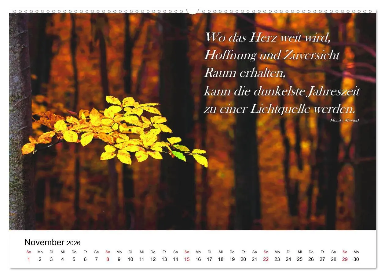 Bild: 9783457794487 | Lebensweisheiten 2026 (Wandkalender 2026 DIN A2 quer), CALVENDO...