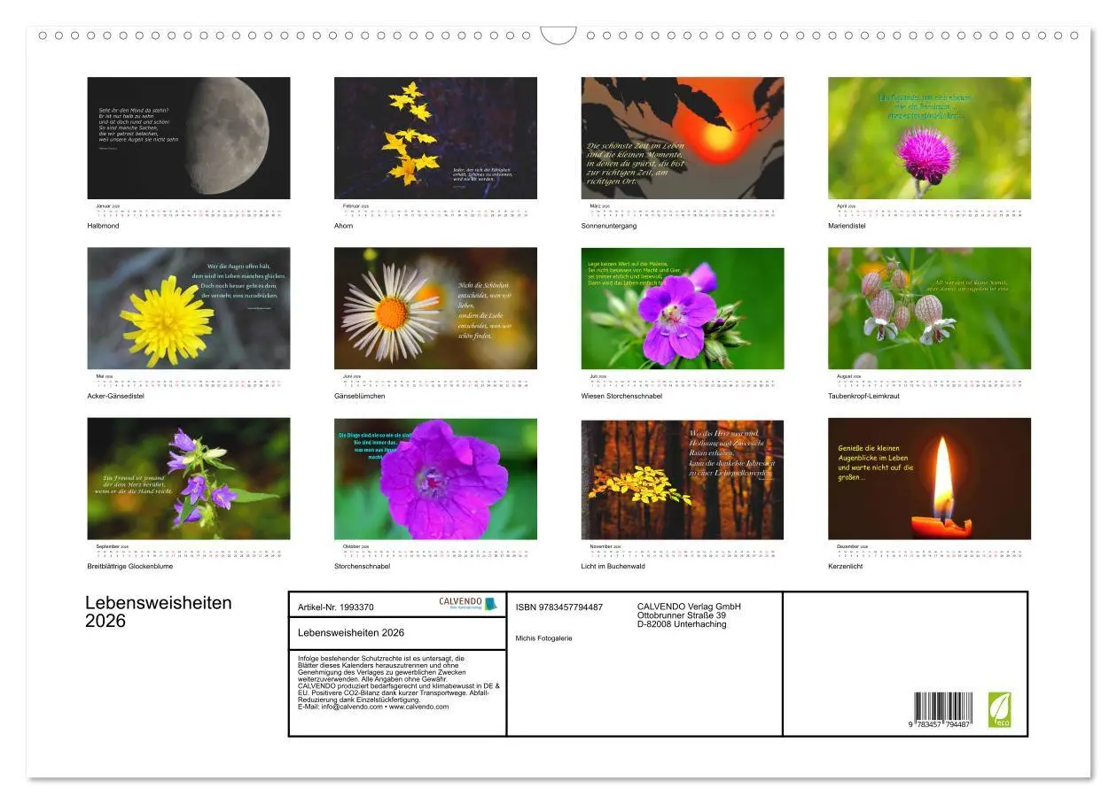 Bild: 9783457794487 | Lebensweisheiten 2026 (Wandkalender 2026 DIN A2 quer), CALVENDO...