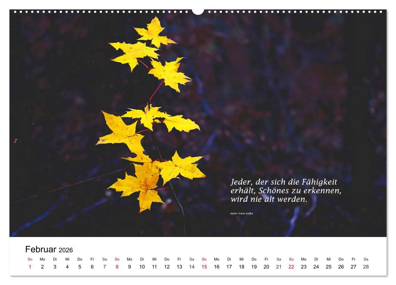 Bild: 9783457794487 | Lebensweisheiten 2026 (Wandkalender 2026 DIN A2 quer), CALVENDO...