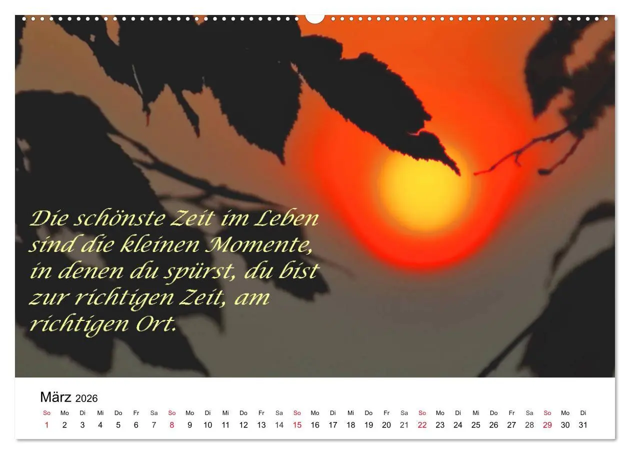 Bild: 9783457794487 | Lebensweisheiten 2026 (Wandkalender 2026 DIN A2 quer), CALVENDO...