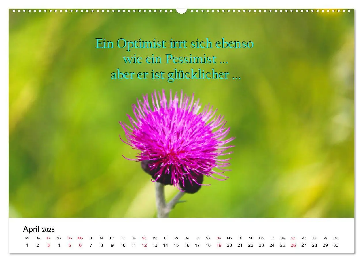 Bild: 9783457794487 | Lebensweisheiten 2026 (Wandkalender 2026 DIN A2 quer), CALVENDO...