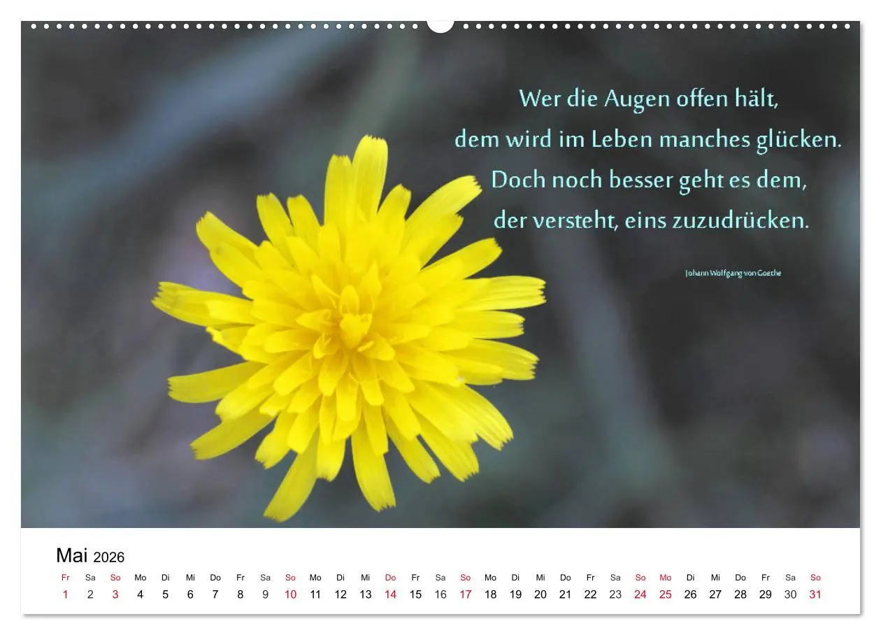 Bild: 9783457794487 | Lebensweisheiten 2026 (Wandkalender 2026 DIN A2 quer), CALVENDO...
