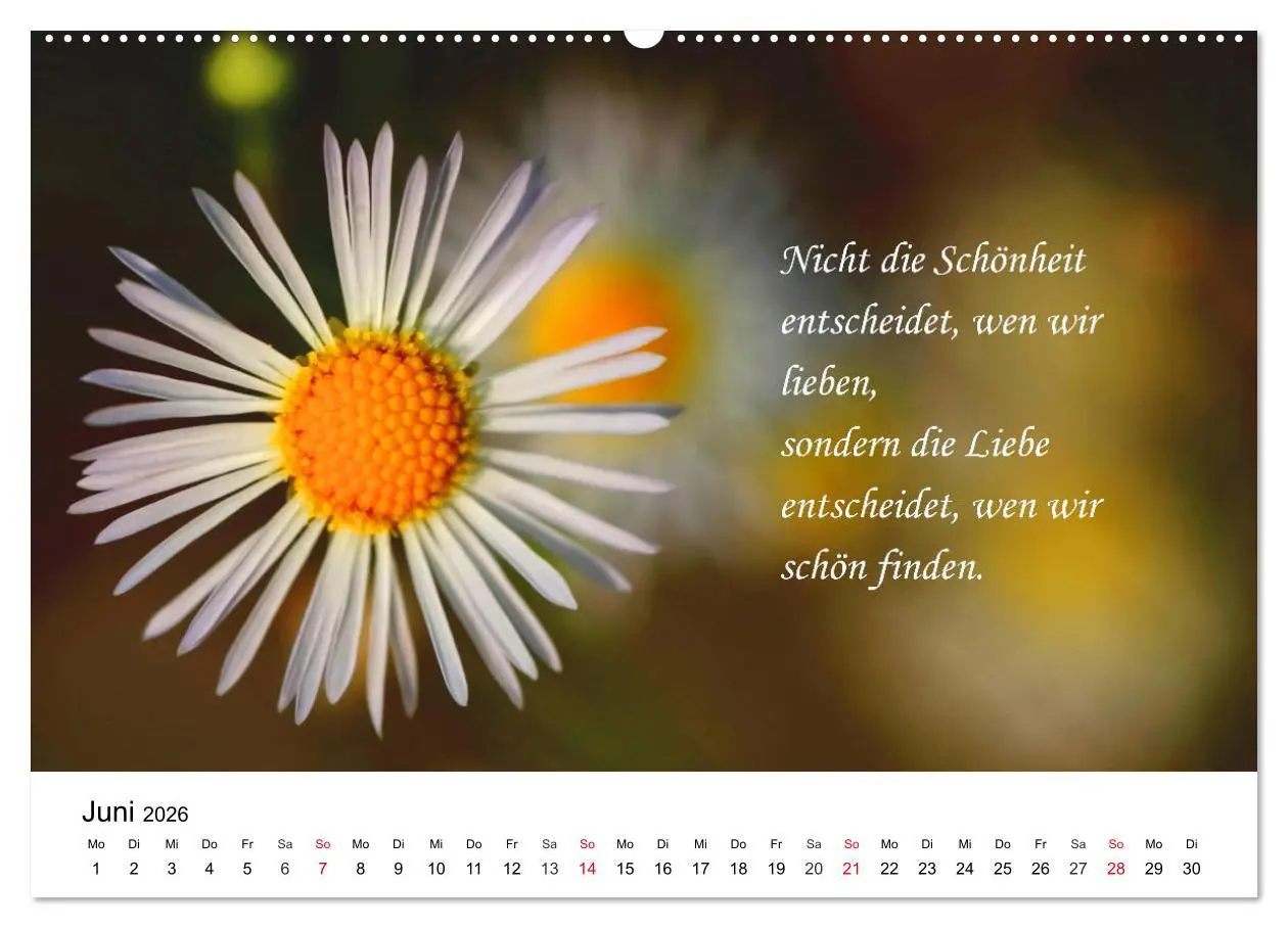 Bild: 9783457794487 | Lebensweisheiten 2026 (Wandkalender 2026 DIN A2 quer), CALVENDO...