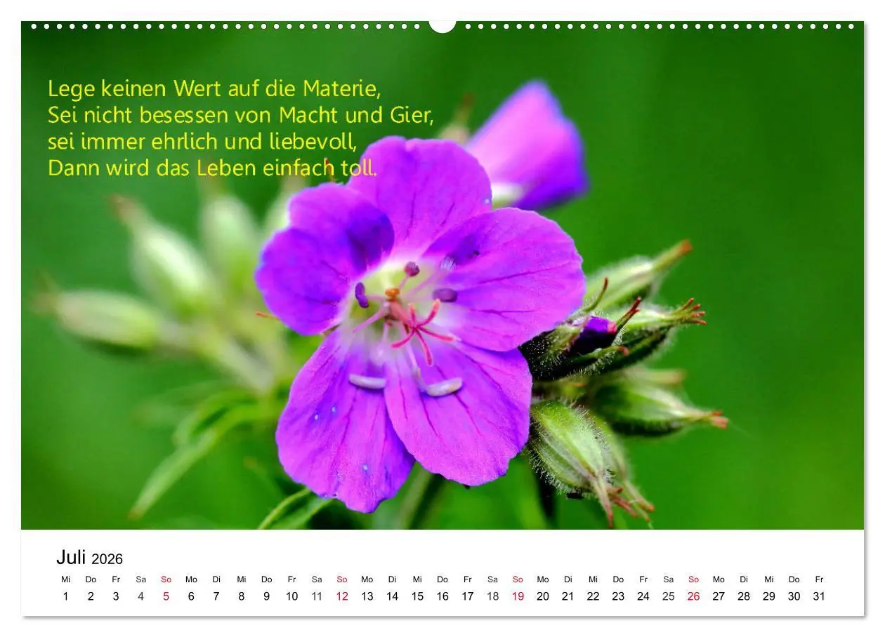 Bild: 9783457794487 | Lebensweisheiten 2026 (Wandkalender 2026 DIN A2 quer), CALVENDO...