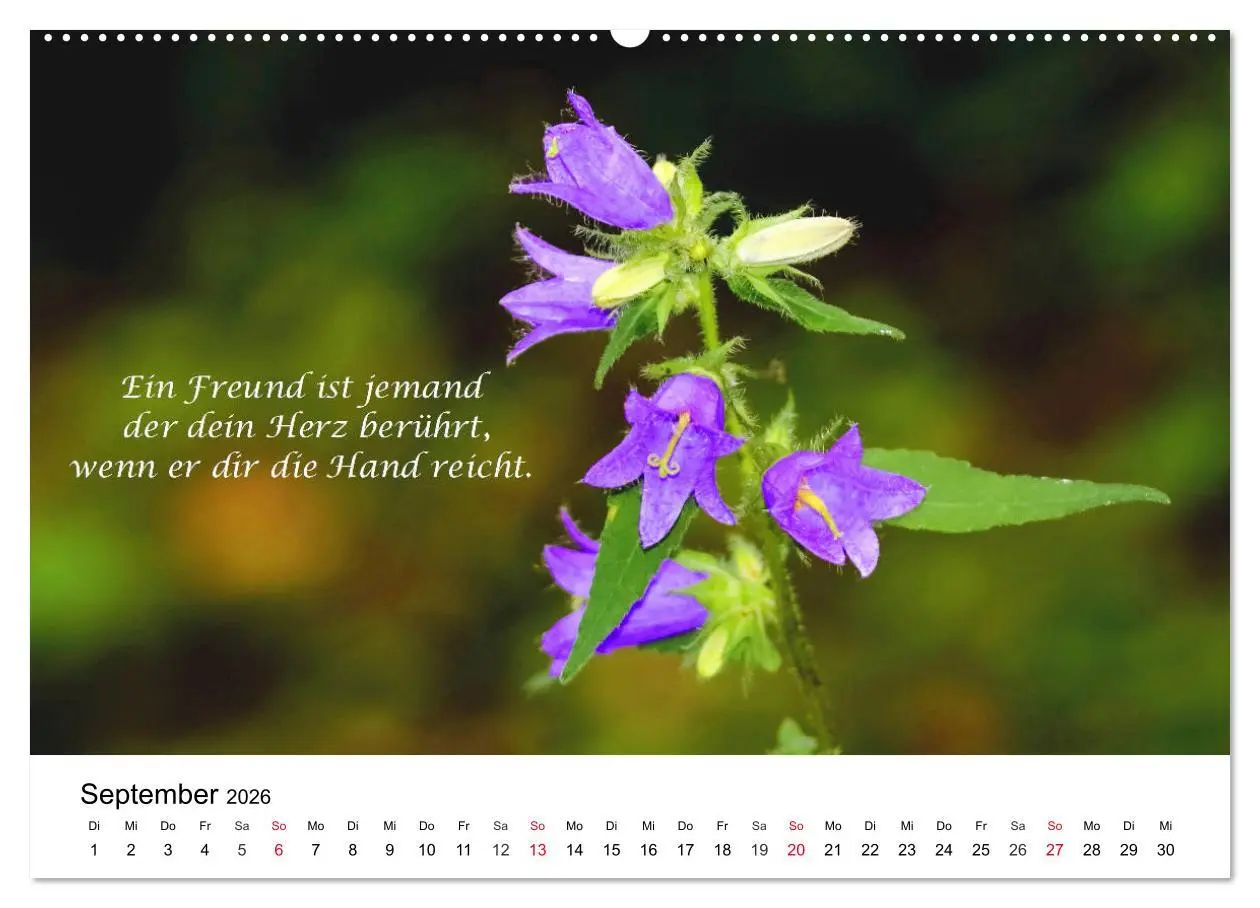 Bild: 9783457794487 | Lebensweisheiten 2026 (Wandkalender 2026 DIN A2 quer), CALVENDO...