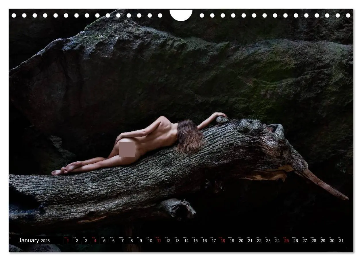 Bild: 9783516574487 | Cote d'Azur Landscapes and Nudes (Wall Calendar 2026 DIN A4...