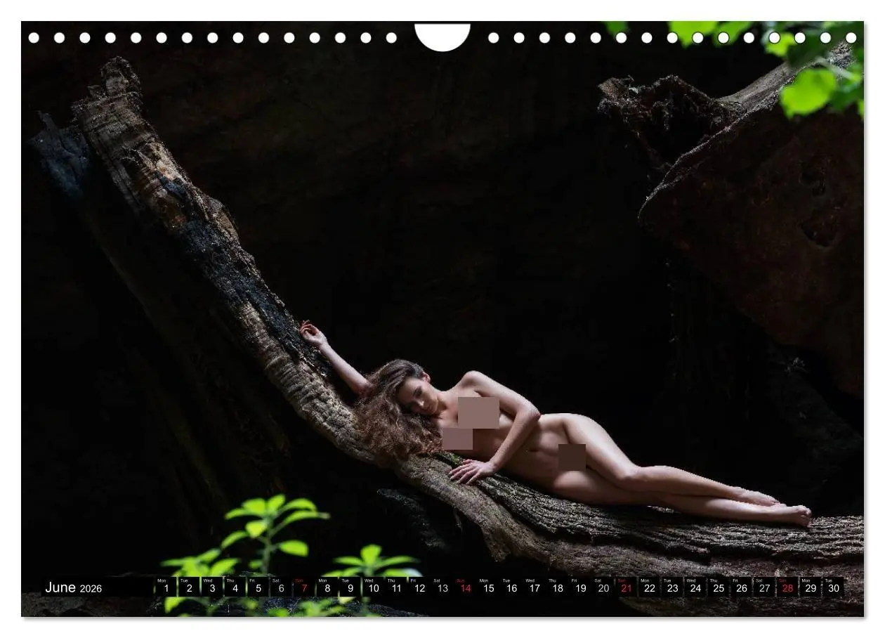 Bild: 9783516574487 | Cote d'Azur Landscapes and Nudes (Wall Calendar 2026 DIN A4...