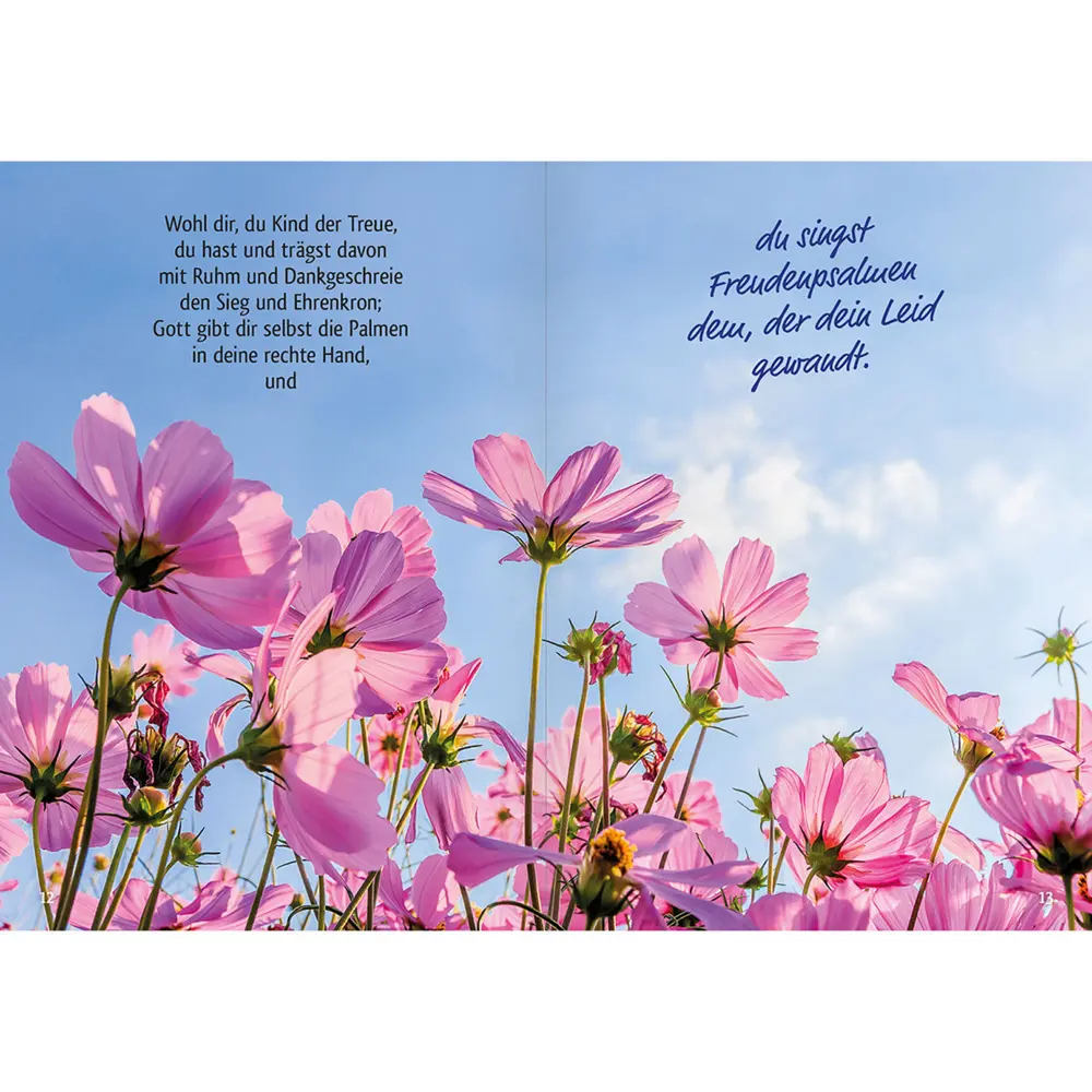 Bild: 9783863384487 | Befiehl du deine Wege | Ein Lied voller Gottvertrauen | Paul Gerhardt