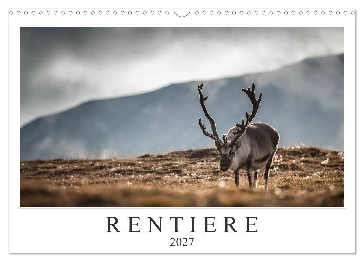 Cover: 9783569724587 | Rentiere (Wandkalender 2027 DIN A3 quer), CALVENDO Monatskalender