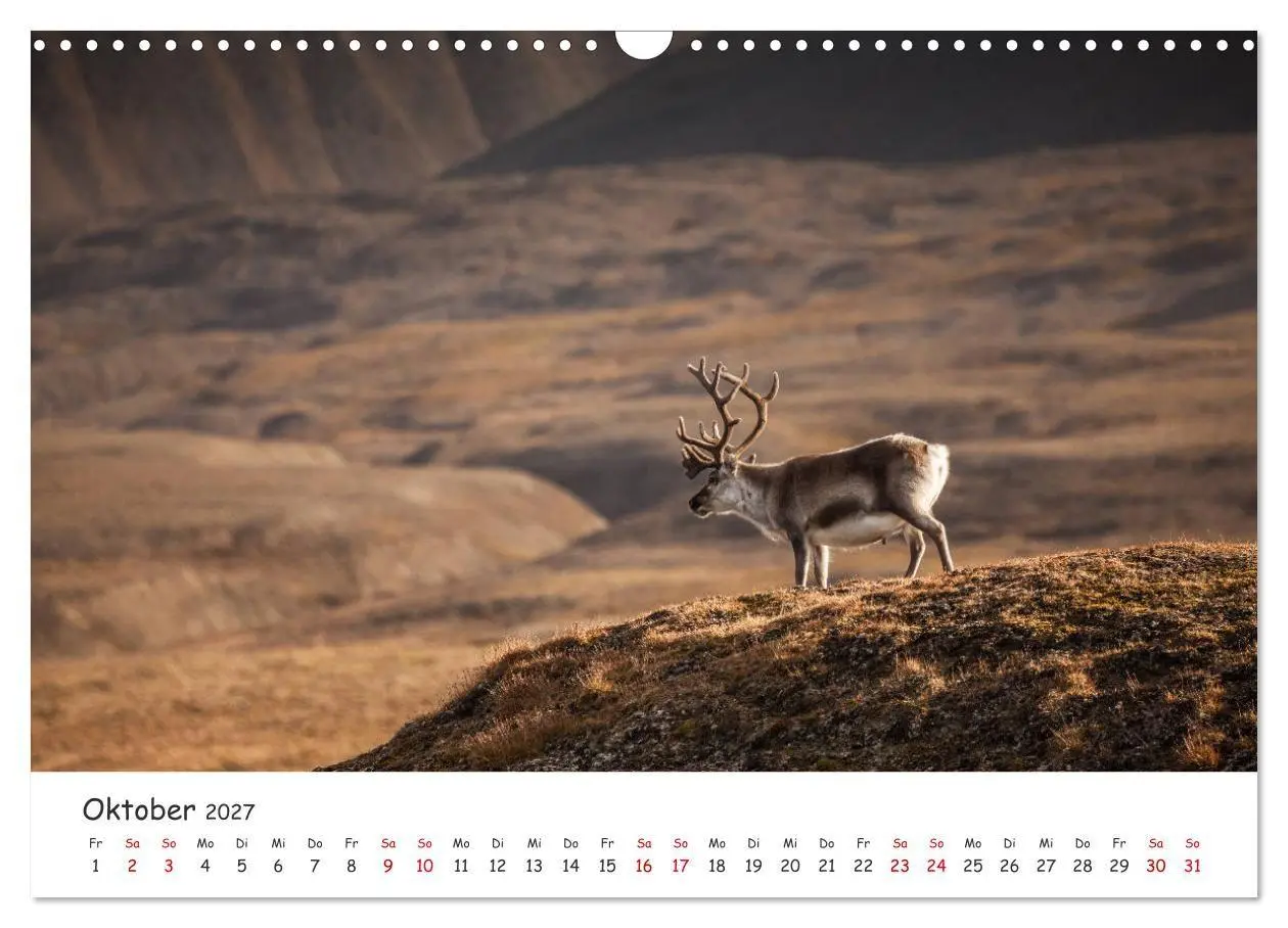 Bild: 9783569724587 | Rentiere (Wandkalender 2027 DIN A3 quer), CALVENDO Monatskalender