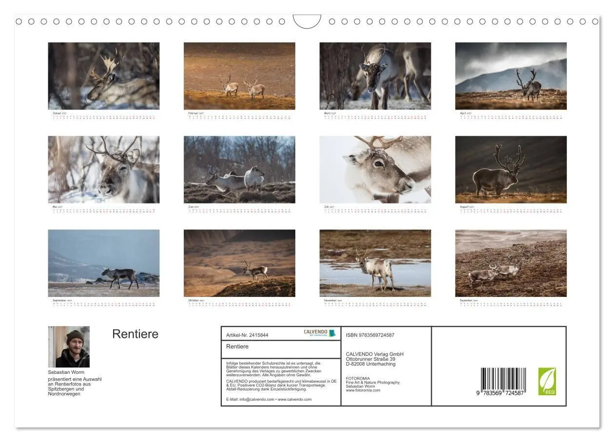 Bild: 9783569724587 | Rentiere (Wandkalender 2027 DIN A3 quer), CALVENDO Monatskalender