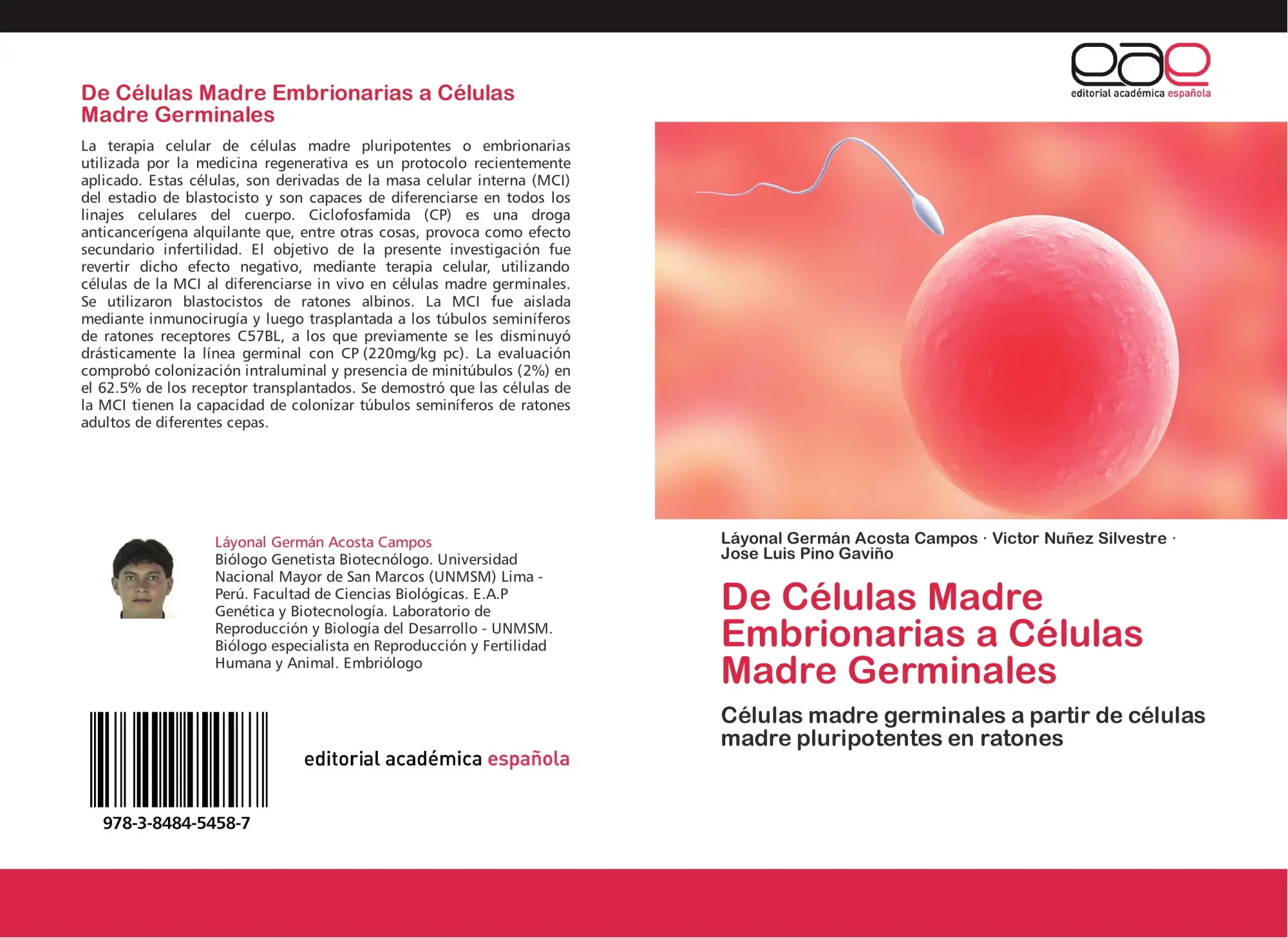 Cover: 9783848454587 | De Células Madre Embrionarias a Células Madre Germinales | Taschenbuch