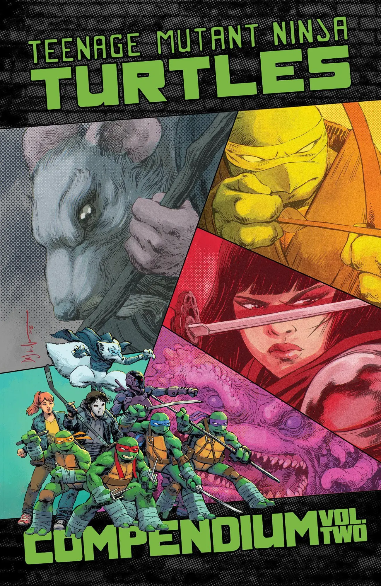 Idw Publishing Teenage Mutant Ninja Turtles, Ongoing Compendium, Vol. 2