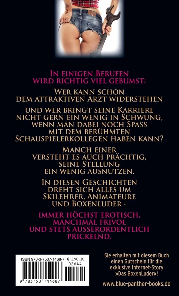 Bild: 9783750714687 | Berufe in denen viel gebumst wird Erotische Geschichten | Simona Wiles