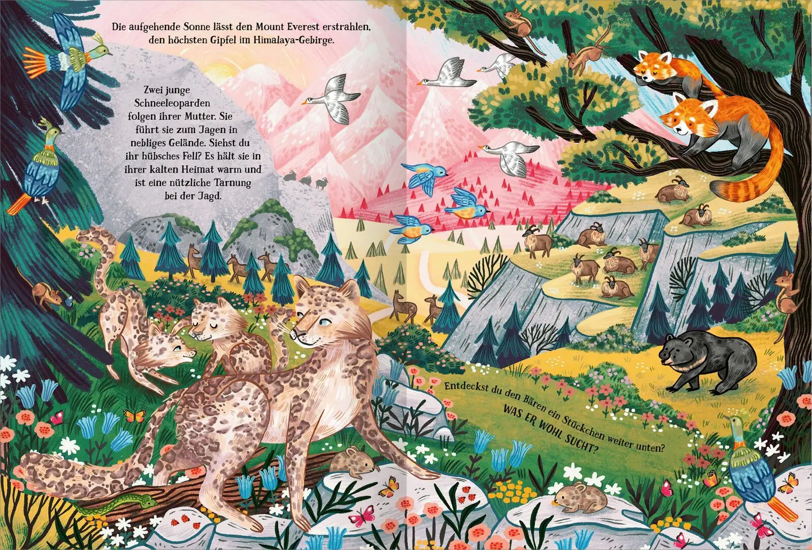 Bild: 9783845854687 | Berge voller Wunder | Kaja Kajfez | Buch | Hardcover mit Folie | 32 S.
