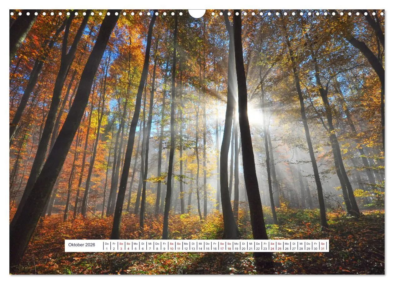Bild: 9783457524787 | Vom Augenblick der Stille 2026 (Wandkalender 2026 DIN A3 quer),...
