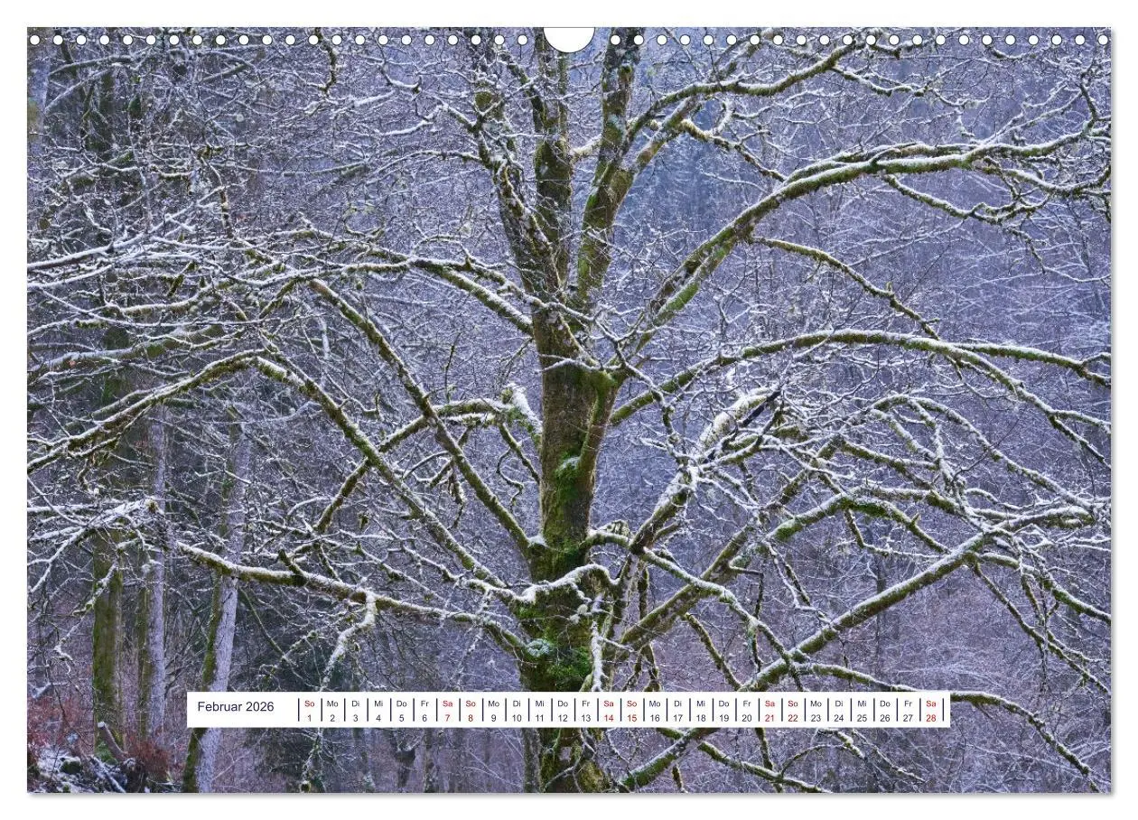 Bild: 9783457524787 | Vom Augenblick der Stille 2026 (Wandkalender 2026 DIN A3 quer),...