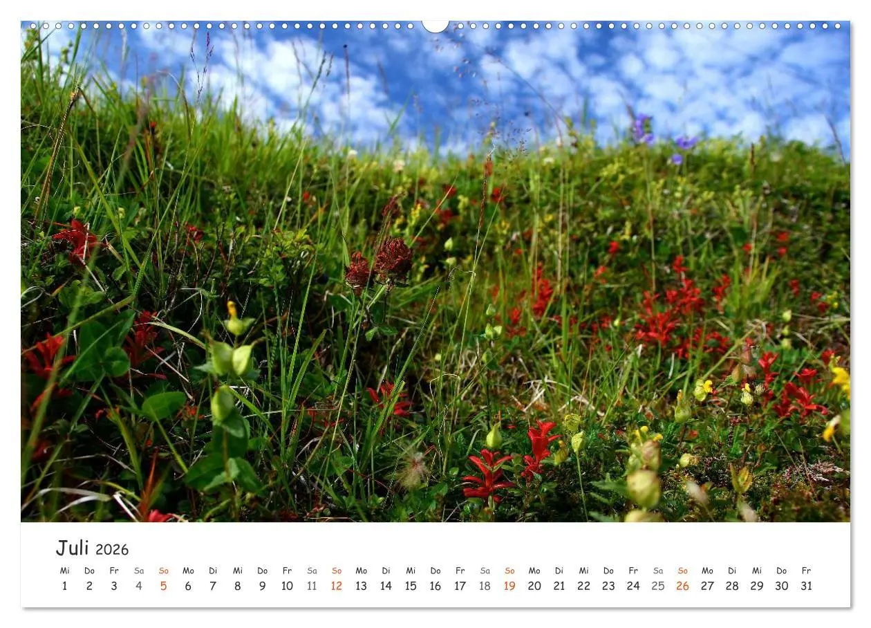 Bild: 9783516094787 | Nordnorwegen im Licht (hochwertiger Premium Wandkalender 2026 DIN...