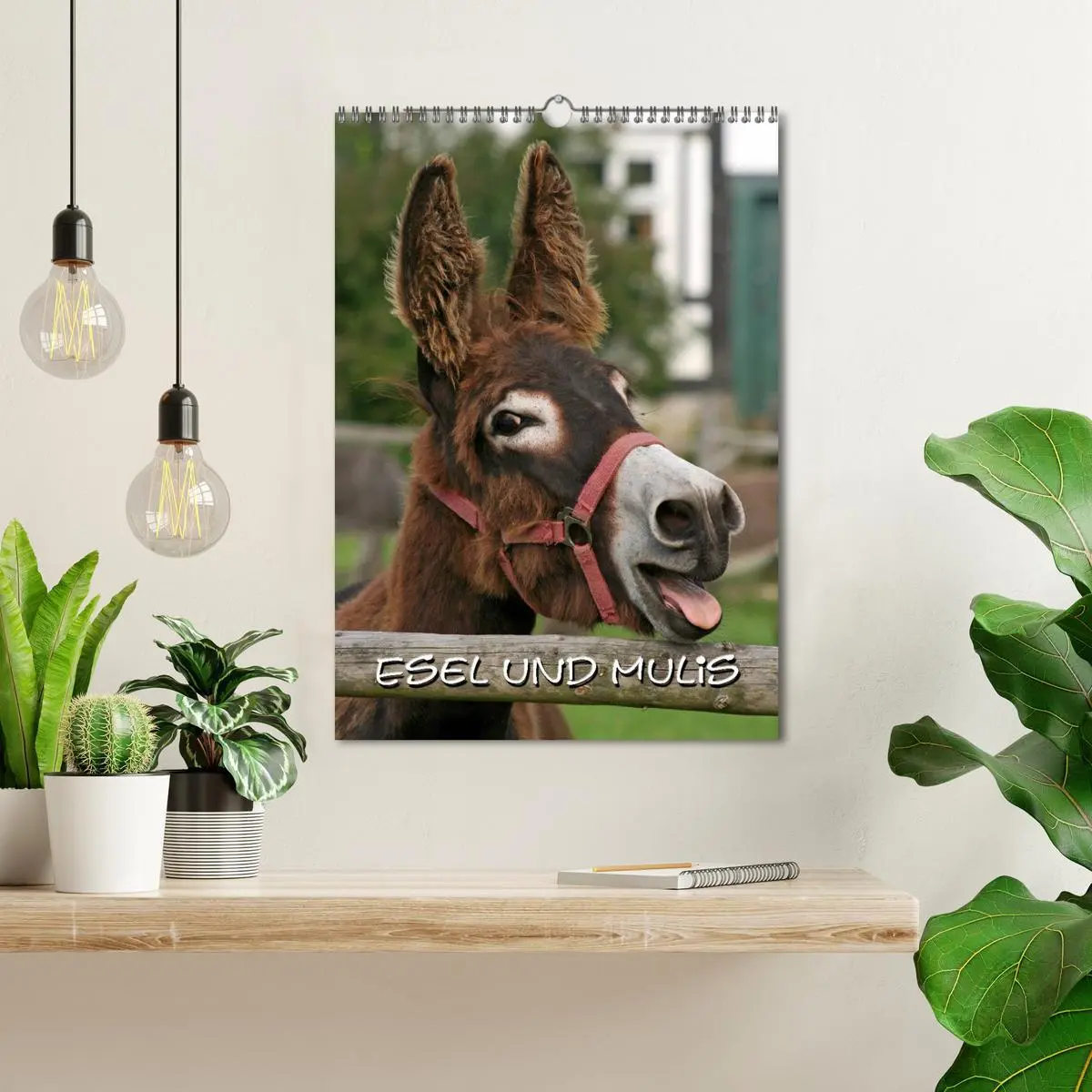 Bild: 9783516474787 | Esel und Mulis (Wandkalender 2026 DIN A3 hoch), CALVENDO...