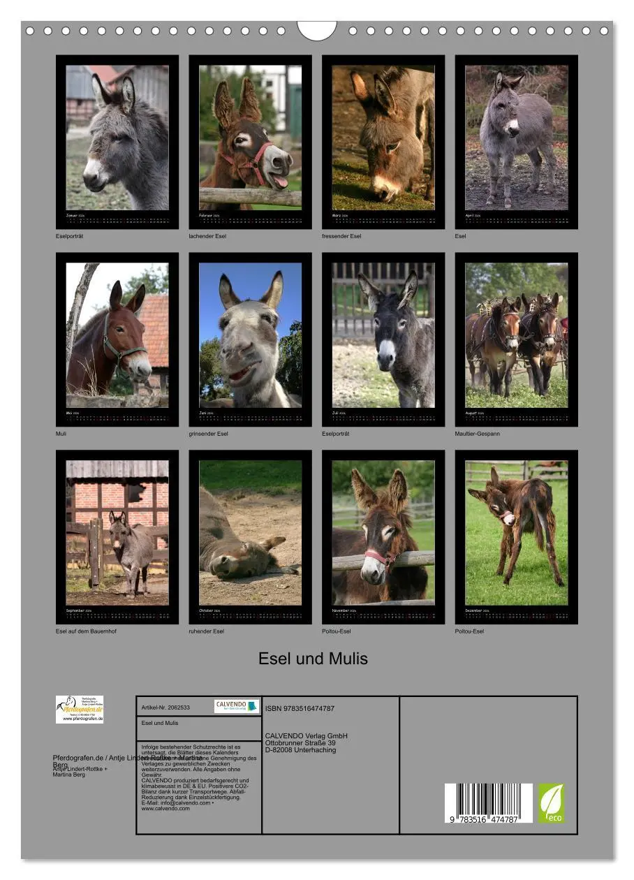 Bild: 9783516474787 | Esel und Mulis (Wandkalender 2026 DIN A3 hoch), CALVENDO...