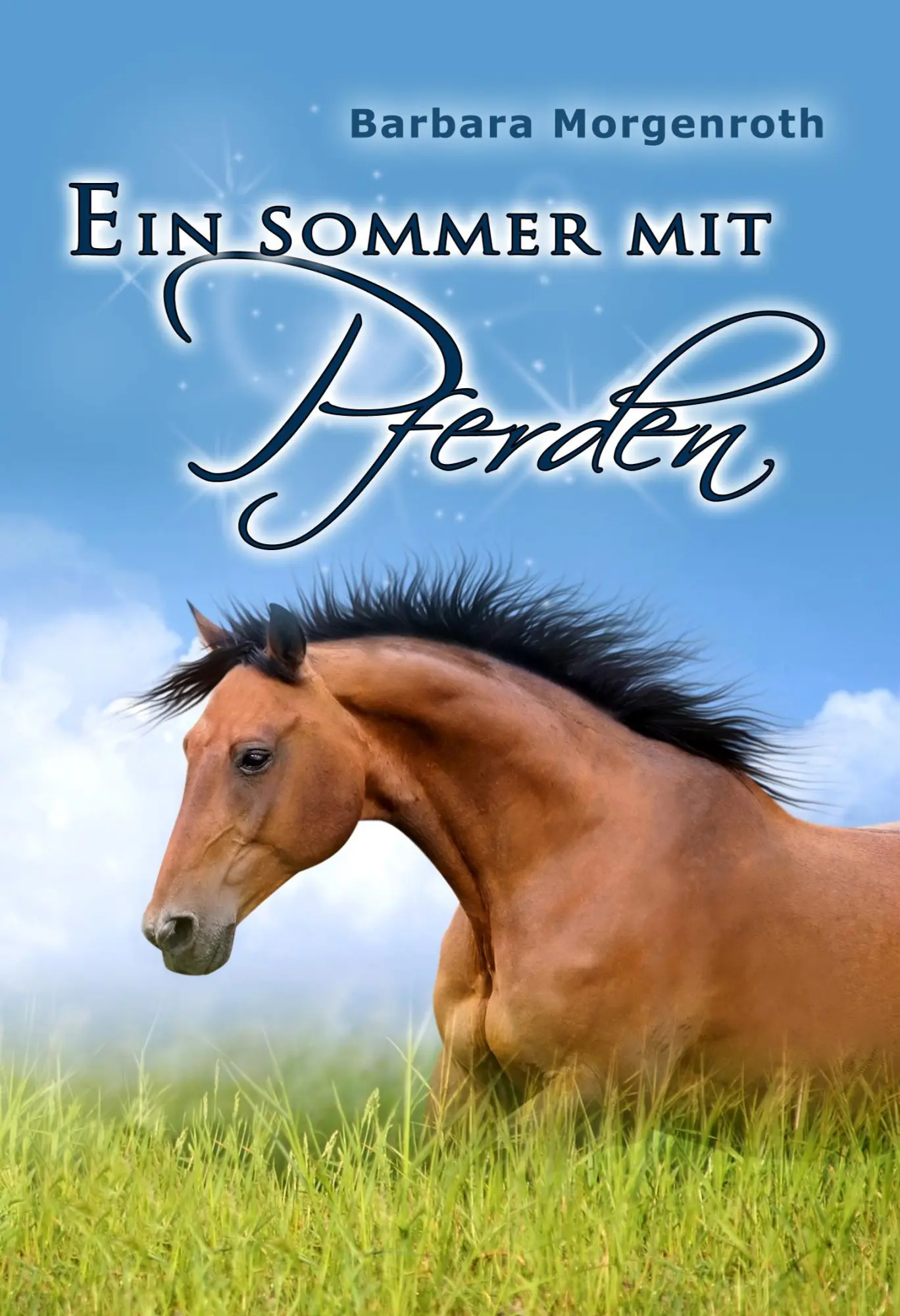 Cover: 9783944464787 | Ein Sommer mit Pferden | Barbara Morgenroth | Taschenbuch | 164 S.