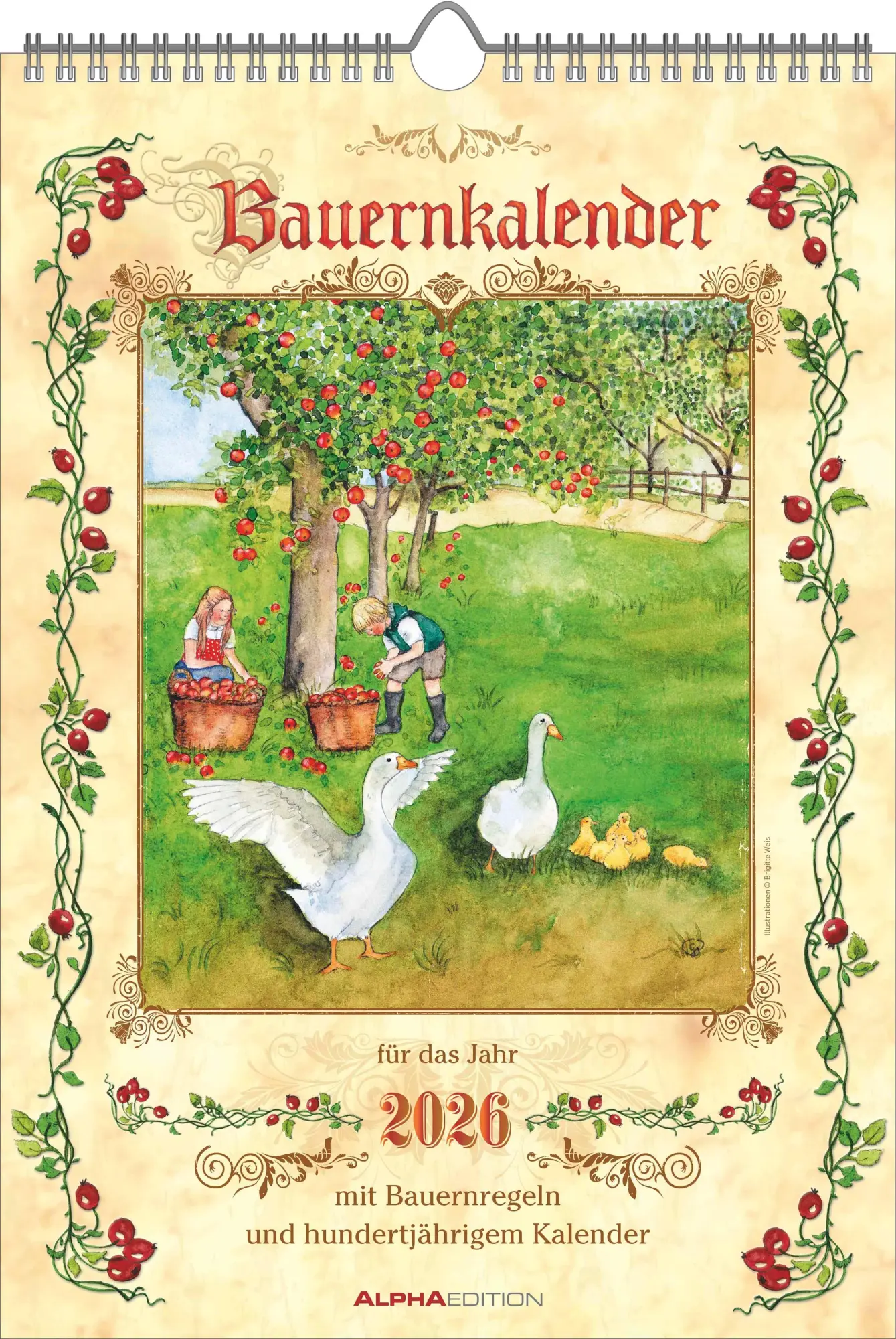 Cover: 4069095004887 | Bauernkalender 2026 - Bildkalender 23,7x34 cm - mit...