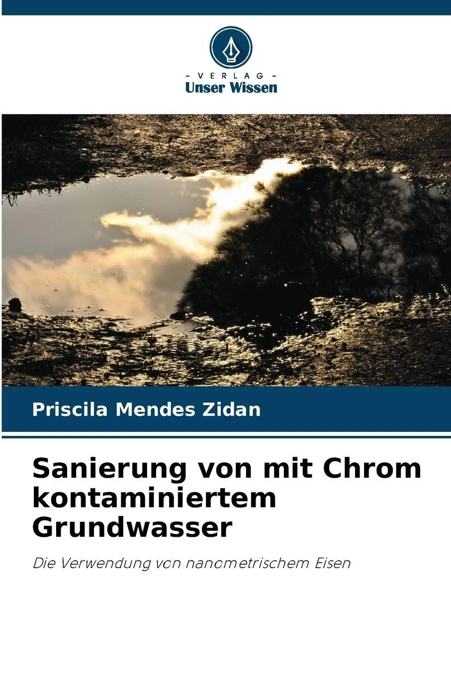 Cover: 9786209194887 | Sanierung von mit Chrom kontaminiertem Grundwasser | Zidan | Buch