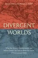Cover: 9780300214987 | Divergent Worlds | Amitav Acharya (u. a.) | Buch | Englisch | 2025