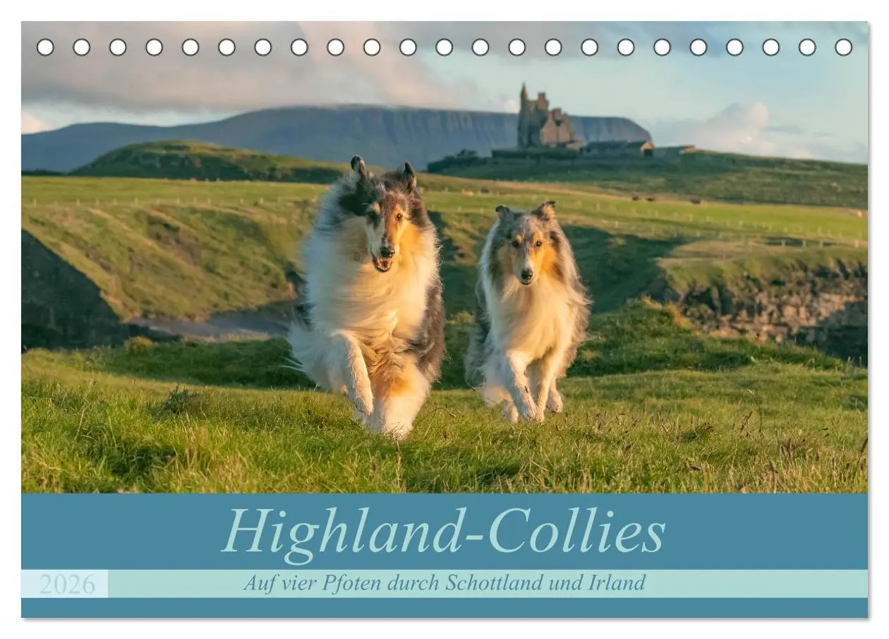 Cover: 9783457674987 | Highland-Collies - Auf vier Pfoten durch Schottland und Irland...