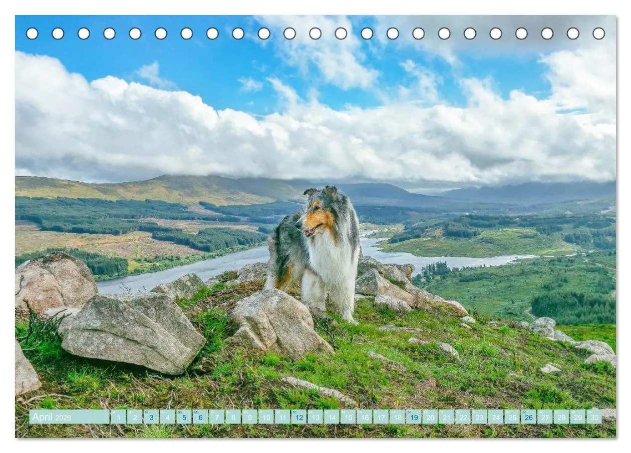 Bild: 9783457674987 | Highland-Collies - Auf vier Pfoten durch Schottland und Irland...