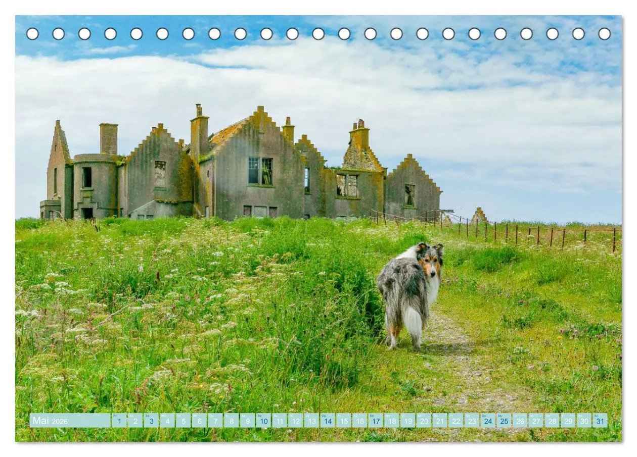 Bild: 9783457674987 | Highland-Collies - Auf vier Pfoten durch Schottland und Irland...