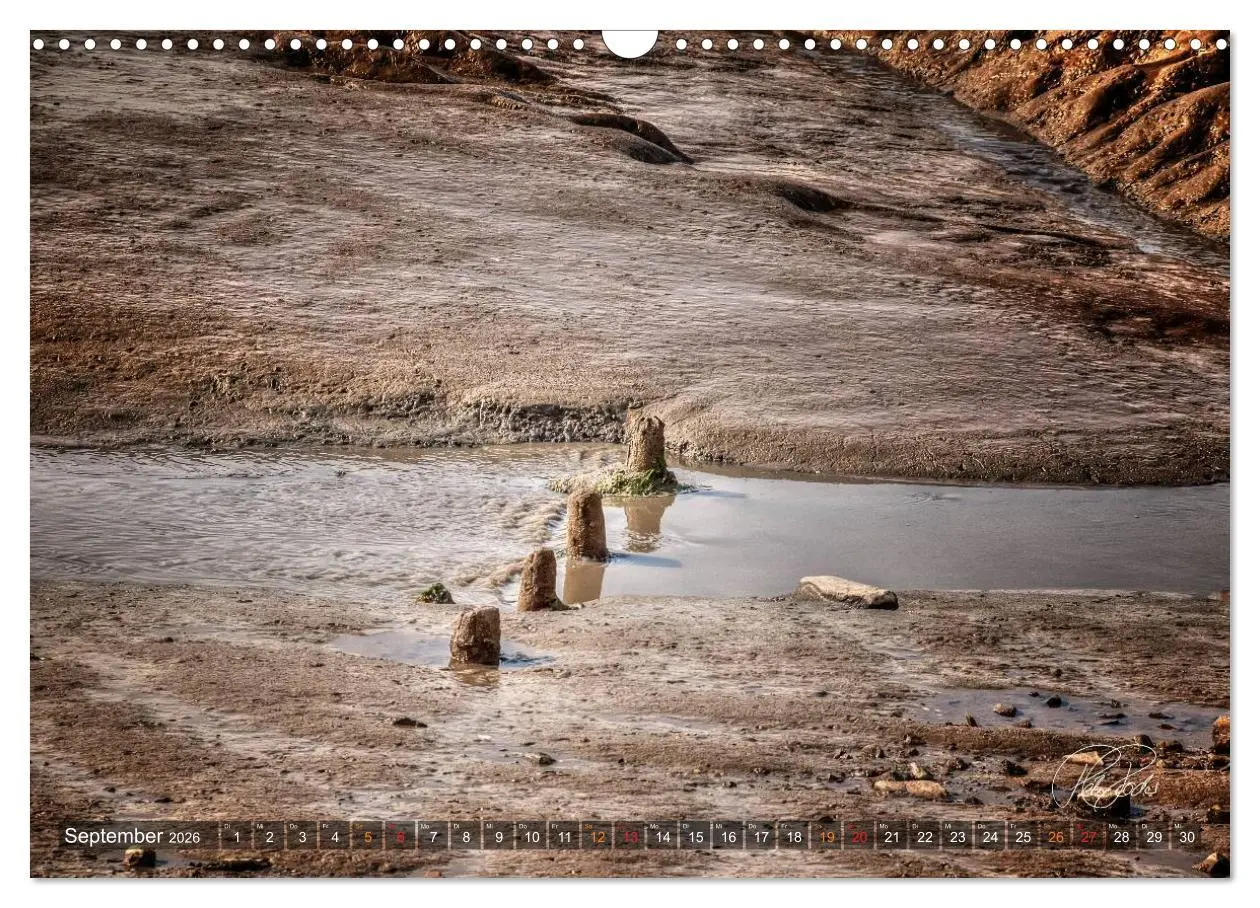 Bild: 9783516144987 | Friesland - Watt und Nordsee / CH-Version (Wandkalender 2026 DIN A3...