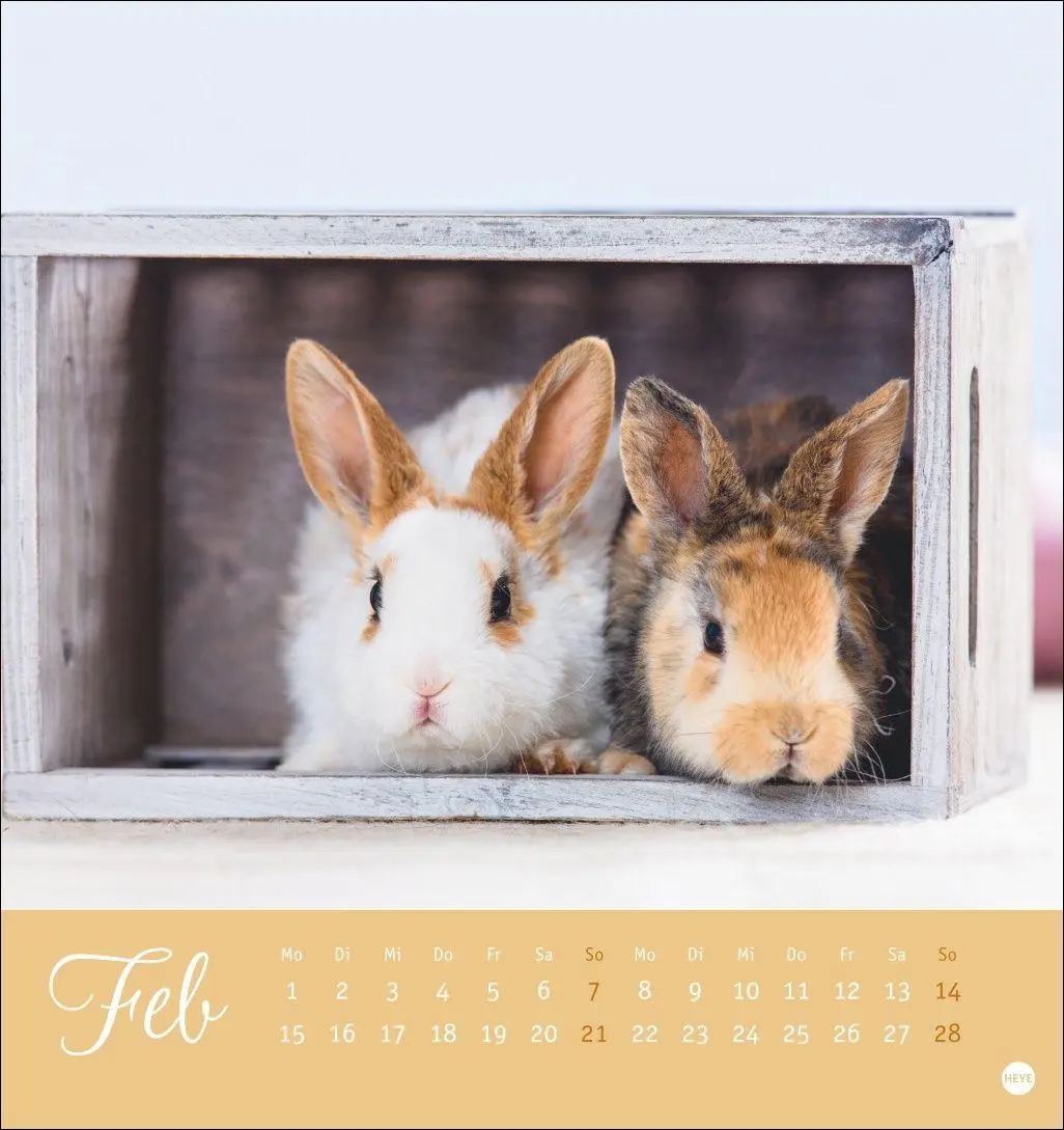 Bild: 9783756414987 | Süße Kaninchen Postkartenkalender 2027 | Oliver Giel | Kalender | 2027