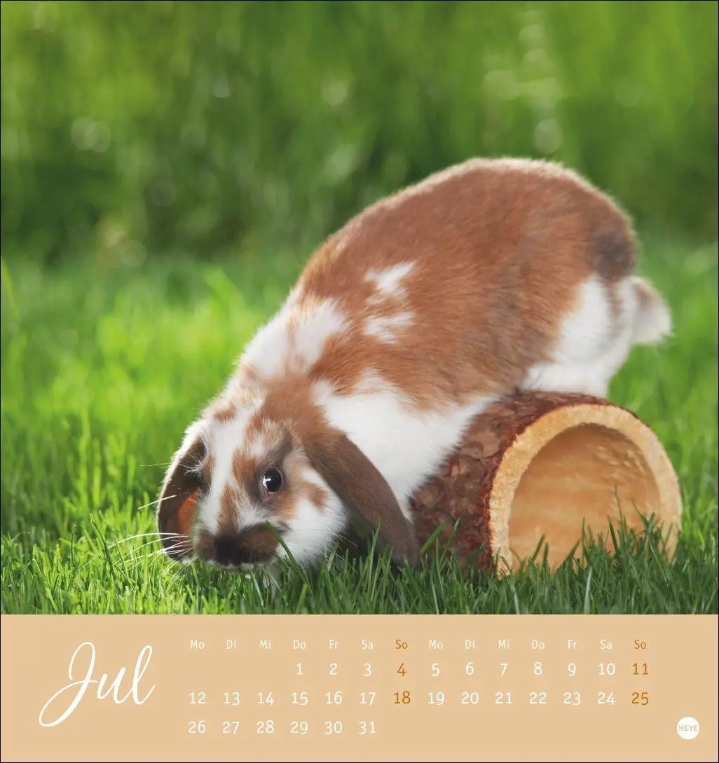 Bild: 9783756414987 | Süße Kaninchen Postkartenkalender 2027 | Oliver Giel | Kalender | 2027