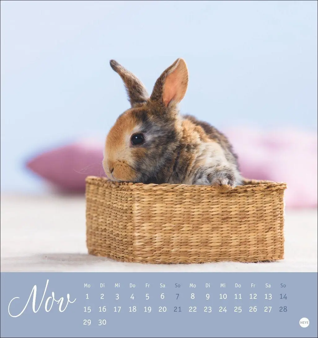 Bild: 9783756414987 | Süße Kaninchen Postkartenkalender 2027 | Oliver Giel | Kalender | 2027