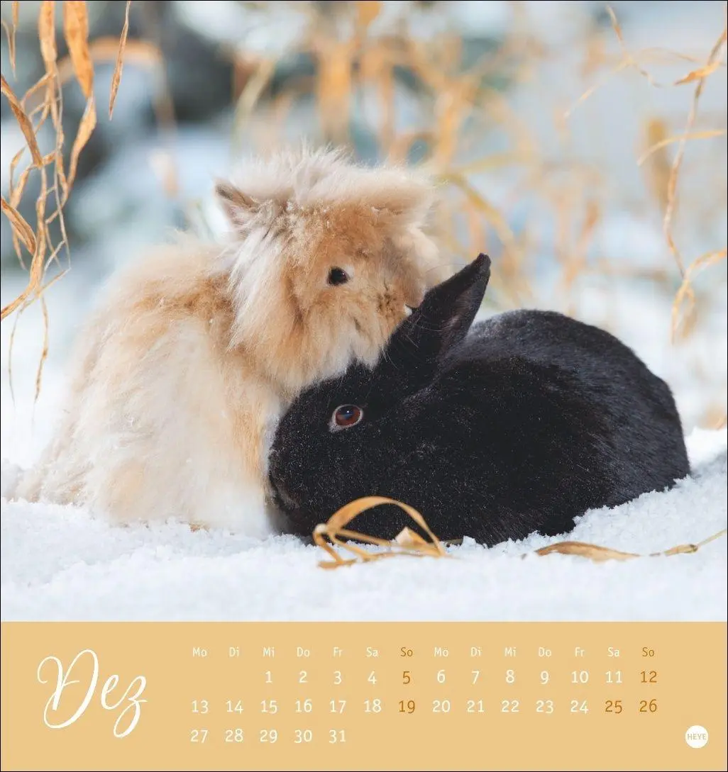 Bild: 9783756414987 | Süße Kaninchen Postkartenkalender 2027 | Oliver Giel | Kalender | 2027